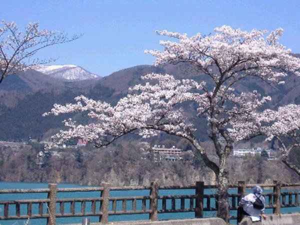 Hotel Kojokaku Katashina ภายนอก รูปภาพ